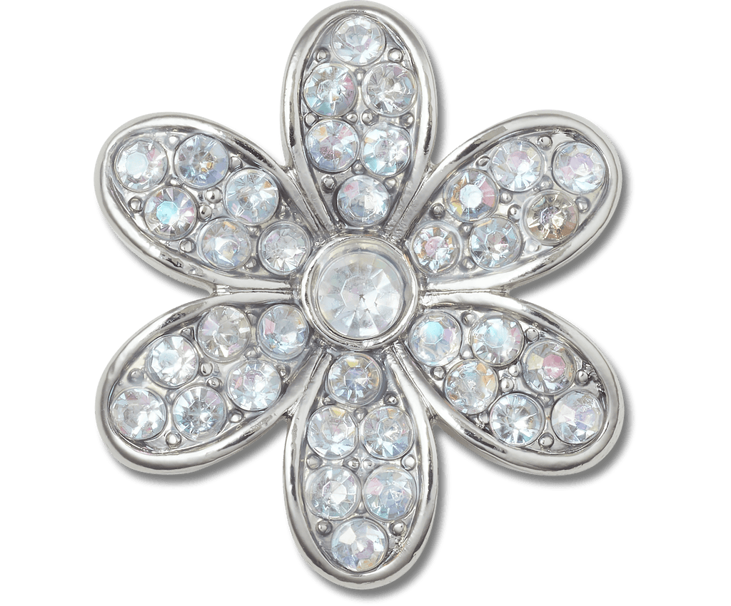 Silver Mnchrm Daisy 1